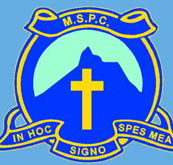 Mt St. Patrick College - University Australia