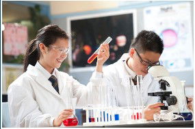 Sunshine College - Education Directory 1