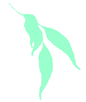 Horticultural Training Pty Ltd - University Australia