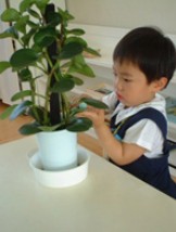Australian Montessori Society - Education Directory 3