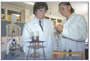 Trinity Catholic College (Auburn/Regents Park) - Education Find 0