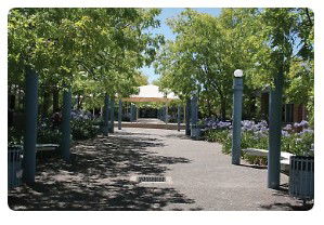 Mary MacKillop College - Education Directory 1
