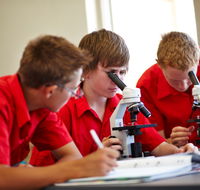 Edmund Rice College - Education Directory