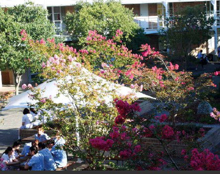 Moriah College - University Australia 1