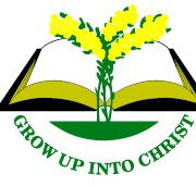 Regents Park Christian School - University Australia