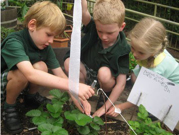 Highfields Preparatory And Kindergarten School - Education Directory 2