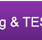 Institute of Continuing and Tesol - Education SA