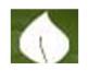 SA COLLEGE OF NATURAL AND TRADITIONAL MEDICINE PTY LTD - Education Sydney 0