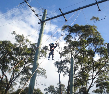 Malek Fahd Islamic School - Education Sydney 5