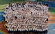 Al Zahra College - thumb 6