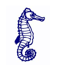 Albert Park Primary School - Education Directory