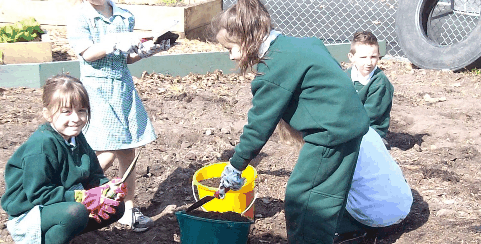 Chalcot Lodge Primary School - Education Directory