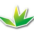 Lilydale West Primary School - Education Directory