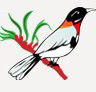 Falls Road Primary School - Education Directory