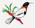 Falls Road Primary School - Education Directory 0