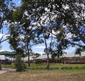 Clayton View Primary School - Education Directory