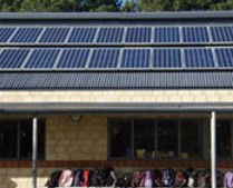 Caralee Community - Education Directory 3