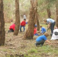 Guildford Primary School - Education Directory 4