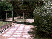Cecil Andrews Senior High School - University Australia 2