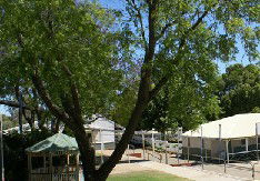Bindoon Primary School - Education Directory 1