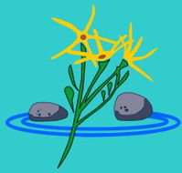 Rockingham Lakes Primary School - Education Directory