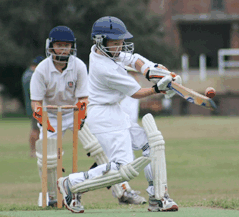 Sydney Grammar Edgecliff Preparatory School - Education Directory 2