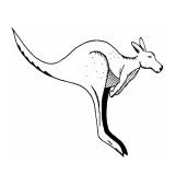 Dorset Vale SA Education Directory