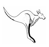 Kangarilla Primary School - University Australia