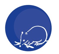 Mylor SA Education NT