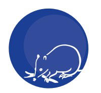 Mylor Primary School - Education SA 0