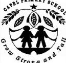 Capel Primary School - University Australia