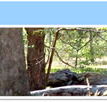Wattle Hill Kindergarten - Education Directory