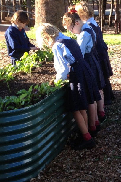Good Shepherd Catholic Primary School Kelmscott - Education Find 3