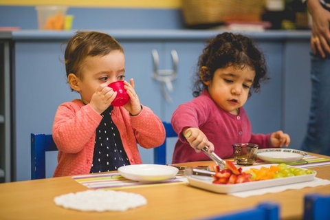 Melbourne Montessori School - Education Directory 6