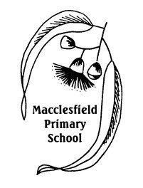 Macclesfield Primary School - Education Find 0