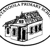 Tantanoola Primary School - Education Directory