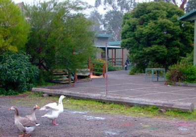 Village School Inc - Education Directory 1
