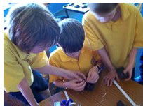 Pender's Grove Primary School - Education Sydney 1
