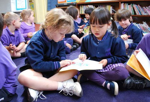 Caulfield Primary School - Education Directory 0