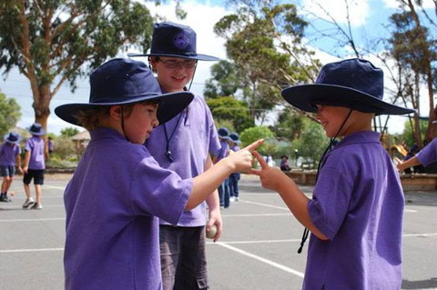 Caulfield Primary School - Education Directory 2