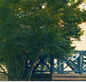 Sherbrooke Community School - University Australia