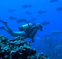 Aquatic Adventures Courses - University Australia
