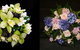 The Flower School Pty Ltd - thumb 0