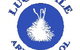 Lucindale Area School - thumb 0