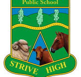 Bendemeer Public School - Education Directory