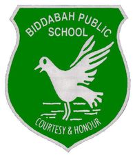 Biddabah Public School