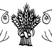 Bogan Gate Public School - Education Directory