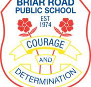 Briar Road Public School - Education Directory