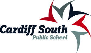 Cardiff South NSW Education Directory