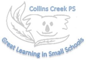 Collins Creek Public School - Education Find 0